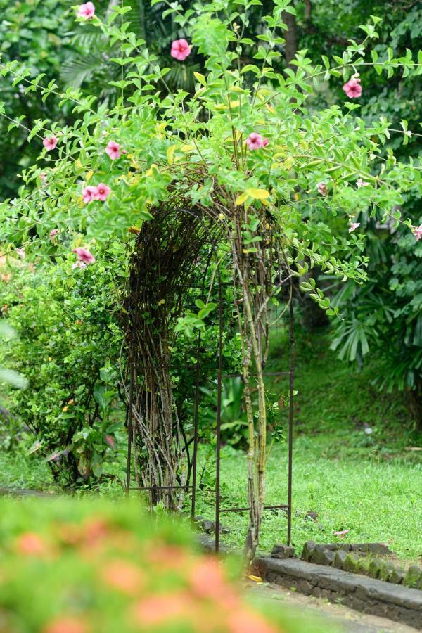 Irene'S Home Matale Eksteriør bilde